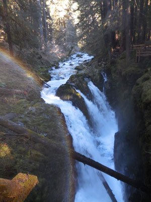 Sol Duc Falls in Port Angeles, WA